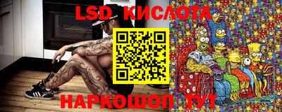 тгк Будённовск