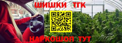 тгк Будённовск