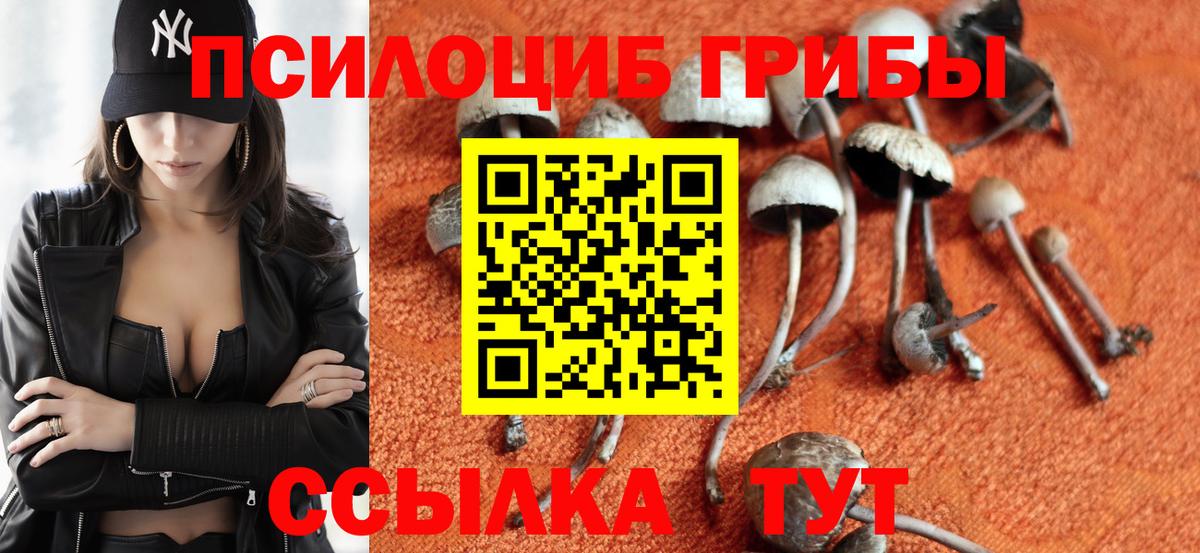 Псилоцибиновые грибы ЛСД Озёры