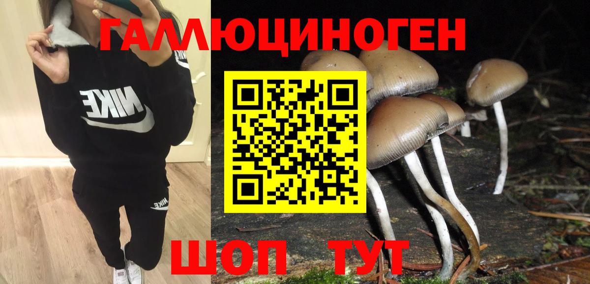 Галлюциногенные грибы MAGIC MUSHROOMS  Вход с VPN  Озёры 